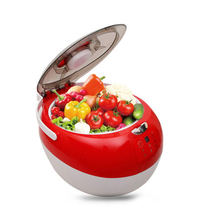 Ruizhi Fruit and Vegetable Treasure Active Oxygen Machine Vegetable Washing Machine Fruit and Vegetable Cleaning Machine Household Ozone Machine Degradation Pesticide