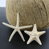  Ultra-small natural white small starfish ornaments Creative wedding props Mediterranean wall glass floor decorations