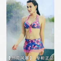 Clearance brand Baorida hot spring swimsuit women small breasts gathered steel tray bikini 1217314 Pink Blue