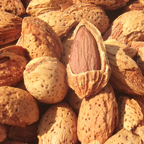 Xinjiang specialty snacks almond dragon fruit nuts big white apricot hand peeling almond Almond