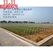 Greenhouse greenhouse Vegetable greenhouse steel frame greenhouse steel pipe vegetable and flower agricultural single steel frame greenhouse skeleton manufacturer