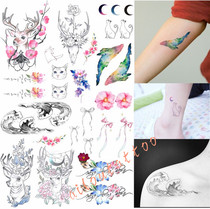 Hand-drawn clavicle ankle elk deer fawn fresh waves small flowers male and female cute waterproof tattoo stickers