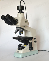 NIKON Nikon E100 digital bio-microscope 3 million USB camera total enlarged 40-1000 times