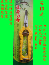 He Quanhui extended grape scissors orange scissors fruit scissors tomato scissors pepper scissors fruits and vegetables cut head scissors