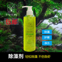 Water-grass cryptography in addition to algae-liquid slime algae turquoise turquoise hairy alga in addition to green algae in addition to green algae