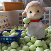 1 12 Mini food play house food play scene Vegetables-green apples