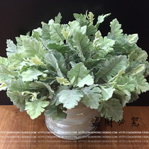 Simulation of silver leaf chrysanthemum horn leaf flocking green hipster floral silk acorn leaf flower acorn leaf bouquet match