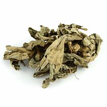 Floating Pinggao 5 Jin Shui Pinggao Large Leaf Floating Pinggao Green Pinggao 500g Chinese Herbs
