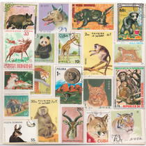 Foreign wild animals 50 different stamps Old goods valuable collection Full of 100 packs express delivery