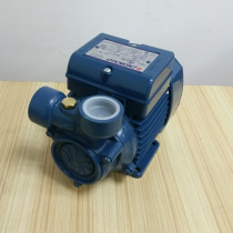 Italian Pedro Peddrolo Pumps pqm60 New Products New Generators 220v