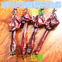 Changbai Mountain sika deer whip Deer whip bubble wine with license about 150 grams of feed special price