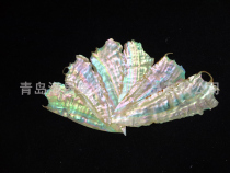 Factory Wholesale natural white abalone multicolored shell lacquer painting lacquer art creative home decoration snail film