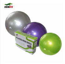 Mini Pilates Ball Fitness Coach Fans Training Coach Workshop Fitness Center for Fitness Center