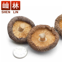 Lin shiitake mushroom 500g Golden Mushroom mushroom meat thick root short northeast specialty mushroom packaging