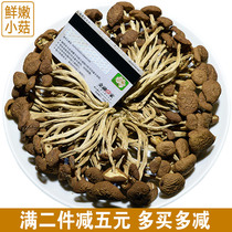 Tea tree mushroom dry goods do not open the umbrella farmers own fresh bulk tea mushroom soup 500g
