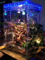 Climbing pet breeding box high crown colorful chameleon special box with lamp heating acrylic reptile 7050100