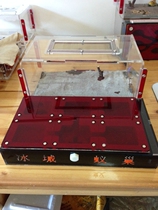 Ice City Ant Matrix P1 Ant nest Concrete nest Ant nest Non-for-sale