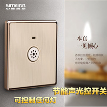 Type 86 concealed wall champagne gold brushed energy saving sound and light control delay switch panel corridor wall socket