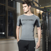  Gym fitness quick-drying clothes summer mens breathable short-sleeved sports T-shirt high stretch fitness clothes thin half-sleeved clothes