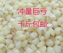 Food forest food sorghum rice northeast sorghum rice white sorghum rice large sorghum rice coarse grain