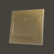 Chint champagne gold one open double control switch socket NEW7Q single open 2 control panel electrician 2 open