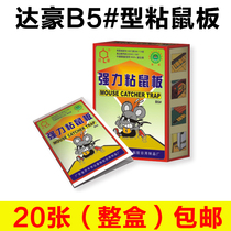 Dachau b5 sticky mouse plate super strong mouse glue clip rodenticide rodent repellent mousetrap mouse paste 20