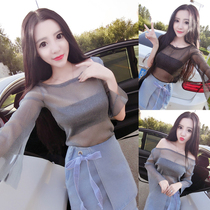 Pervert jacket autumn Korean version of mesh gauze hollow net long sleeve women wear hollow transparent sexy summer two-piece summer