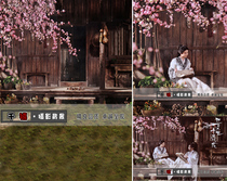 New photo studio plate costume photo theme background photography background cloth three life three life ten li peach blossom