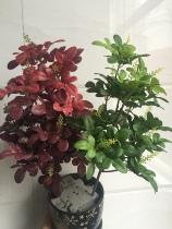 High-grade simulation Milan leaf plant wall flower arrangement decoration green leaf planting material Persian grass green leaf grass wall material