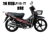 Lifan Wisdom Star LF110-7T Motorcycle Cushion Cover Waterproof Sunscreen and Heat Insulation Breathable Mesh Seat Cover Leather Seat Cover