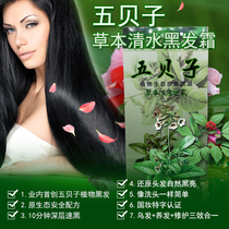 Pure natural Wubei plant health hair dye no stimulation long lasting no fading black oil natural black hair dye cream