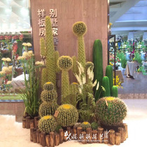 New product emulation Cactus Indoor Soft plant Potted plant Potted Immortals Giant Balls Multimeat Plant Small Tree Bonsai