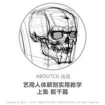 AboutCG Art Human Anatomy Practical tutorial Previous Torso Painting tutorial Human body structure