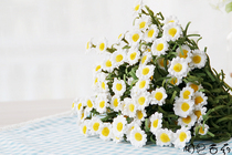  zakka pastoral white small daisy silk flower simulation flower fake flower home clothing store coffee shop decoration background