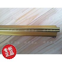 Kitchen and bathroom integrated ceiling double-sided paint double-sided gold large triceratops skeleton ceiling light steel metal keel