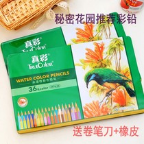 True color hex 48 color water soluble color pencil 24 color 36 color color color graffiti pen iron box