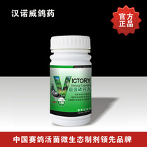 Hannover pigeon medicine pigeon medicine (Super phosphorus calcium pills) Pigeon Pigeon delivery medicine phosphorus calcium parrot special price