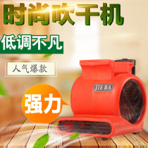 JB BF535 Floor Power Blower Dryer Fan High Power Hotel Carpet Toilet Hotel Mall