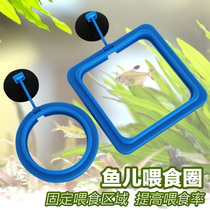  Feed feeding circle Fish feeding circle Aquarium fish tank Fish food Fish food Fish feeding circle feeder
