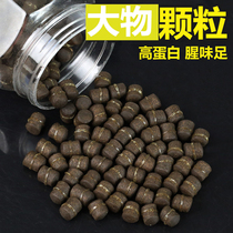 Fishing big fish particles bait black pit wild fishing herring grass carp Sturgeon Sturgeon particle bait