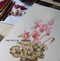 Pure Hand Painted Lead Painting Hand-painted Floral Color Lead Fairy to Sapporo Chrysanthemum Phoenix Eye Lotus Birthday