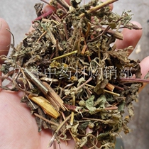 Holly Chinese herbal medicine wild xi tab on the grass tab on the grass xian grass xi qian cao 500 grams