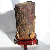 Tree fossil tree fossilized Jade silicified wood strange stone ornamental stone ornaments complete Gobi Palm Desert paint vertical wealth