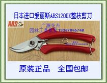 Japan imports Alice ARS120DX pruner cut garden scissors fruit tree scissors pruner scissors