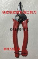 Kim Hoon scissors Wire scissors Spring scissors Branch scissors preclude fruit picking scissors