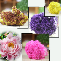  Kalyan Fondant Museum Dry Pace Fondant cake sugar flower core simulation stamens small sugar flower decoration flower heart