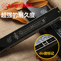 Hole sound 24-hole polyphonic harmonica Advanced GM2403 Beginner adult playing practice Self-taught C-tone harmonica instrument