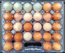 28 large egg tray egg tray plastic blister box light egg tray plastic blister box 47