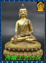  Tibetan Buddhism Tibetan GiltShakyamuni Buddha