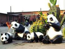 Factory direct glass fiber reinforced plastic panda sculpture outdoor garden panda shape ornaments landscape sculpture can be customized